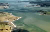 Image of the view overlooking the Kaipara Harbour