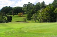 Image of the quality greens at Wellsford Golf Club