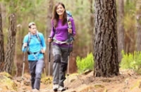 Image of people walking along one of the many walking tracks throughout the Rodney District